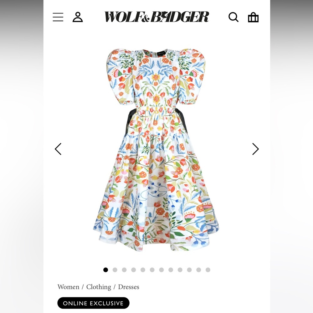 Jessie Zhao floral dress - puffy sleeves NWT